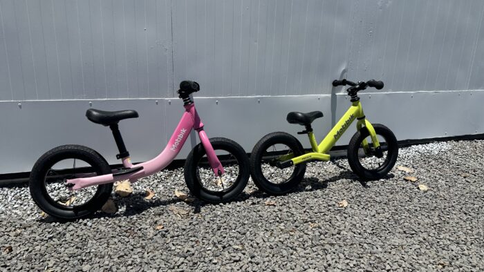 FullSizeRender Draisienne – Image 1